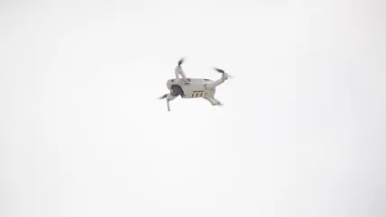 Vortex Casino App Mobile